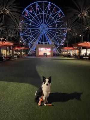 Mikko @ Irvine Spectrum