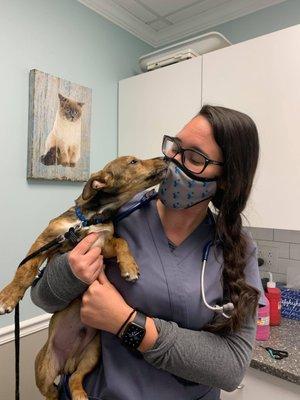 Dr Lavigne getting puppy kisses during an exam.