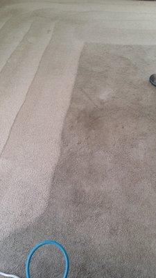 Hot water extraction carpet cleaning