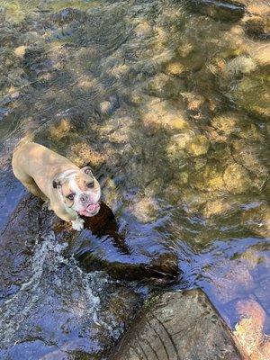 Creek living.