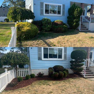 Pruning . Shrub transplant and new shrub and rock install.