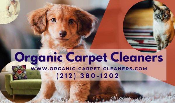 Organic Carpet Cleaners