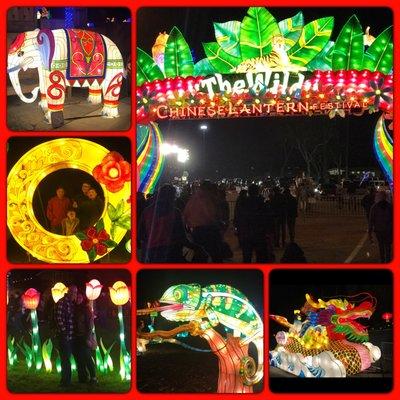 Chinese light Festival