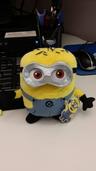 Photo of Minion 1.