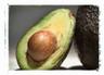 Photo of AvoCado T.