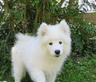 Photo of Liberace W.