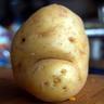 Photo of Potato B.