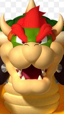 photo of Bowser B.