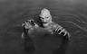 Photo of Creature From The Black Lagoon C.