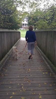 Sandy walking a dog