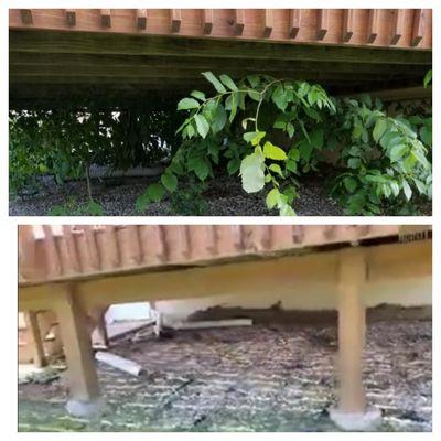 Before and After the jungle under my deck was cleared!