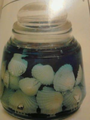 Seashell gel candle