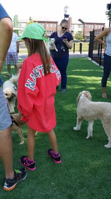 3 Girls & A Dog