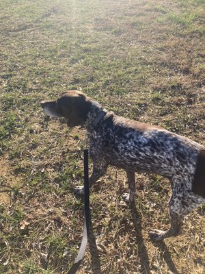 He loves his morning walks.