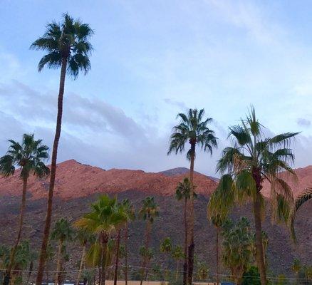 Ocotillo Palms Apartments