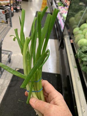 Green onions $.79