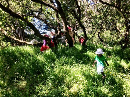 Adventure in Golden Gate Park!