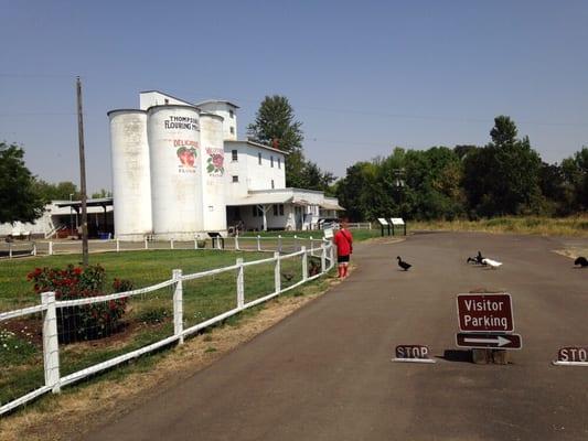 Thompson's Mills State Heritage Site