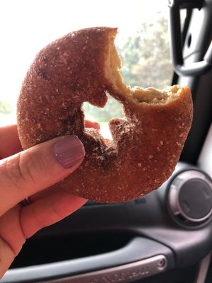 Maybe the best apple cider donuts I've ever had. The cider really comes through