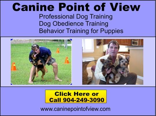 Best Dog Training