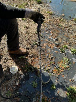 a 1/2 drain cleaning cable auger to clear the debris in this mainline.