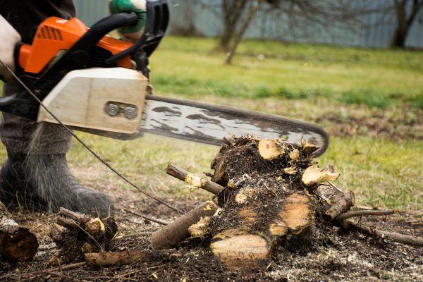 Turners Tree Service got its start from humble beginnings with an old truck, a wood chipper, and a small business loan...