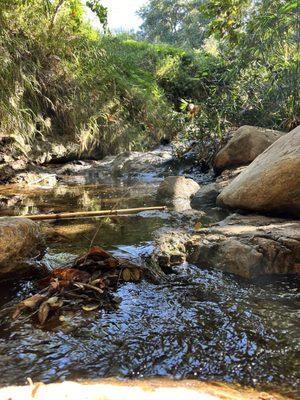 Flinn Springs park just down HWY 80 minutes away!