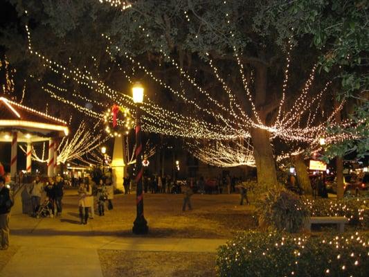 Just 30 minutes away; St. Augustine Lights at Christmas time.