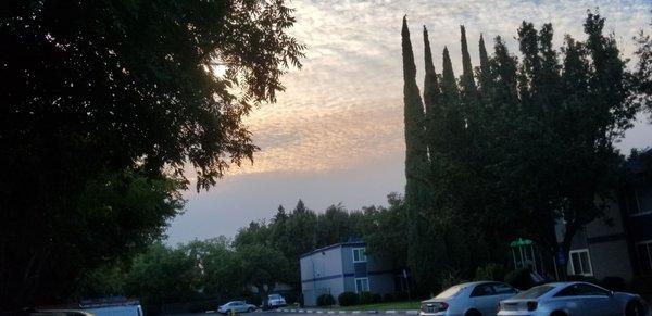 "Back" parking lot during sunset