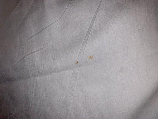 Blood? Stains on the fitted bed sheet