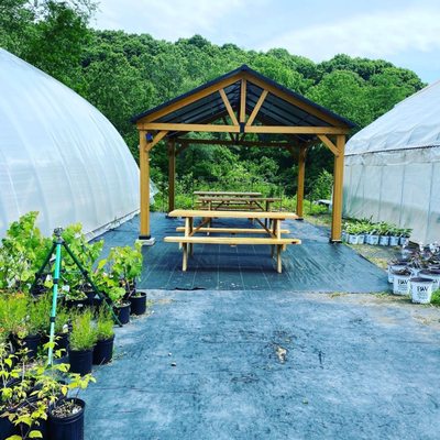 Beer garden between greenhouses.