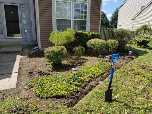 Mulch and edging before