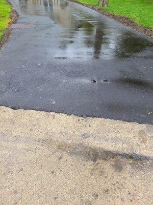 My entire driveway was ripped out and replaced.  Dirt and grass seed were put along the edges.