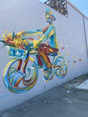 Fly Bicyclist