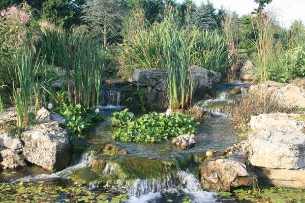 Ponds & Waterfalls