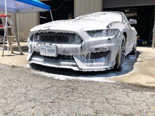 Maintenance Wash on a MUSTANG