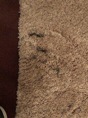 Damaged rug