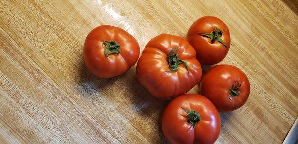 Terrific tomatoed