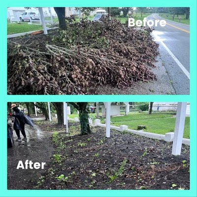 Brush Removal! Richmond VA