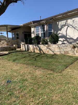 New install of Zoysia grass. Zoysia is great for shady areas!