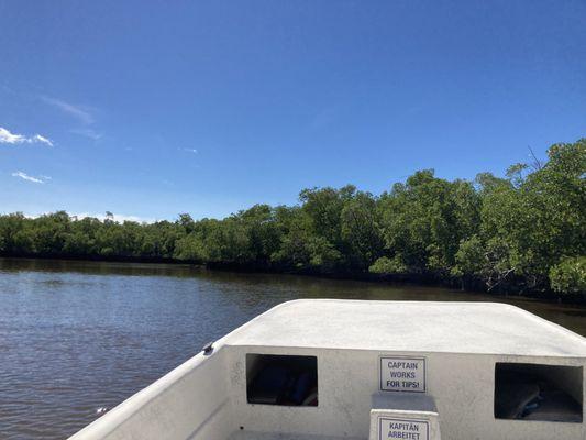 Boat with mangroves