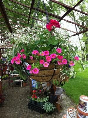 Hanging baskets