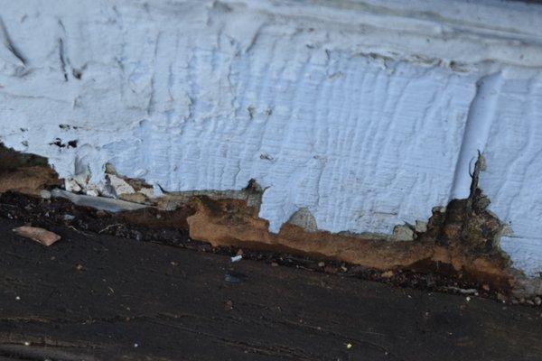 rotting wood on my deck