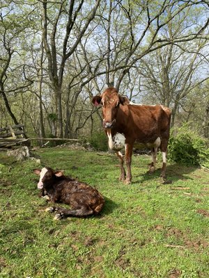 Momma and Baby girl