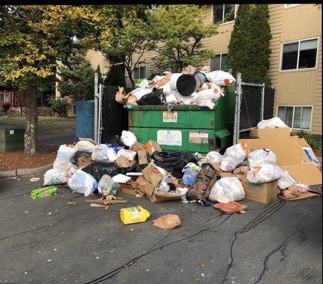 Complex dumpster October 2019