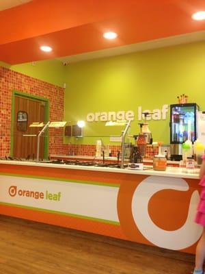 The froyo counter