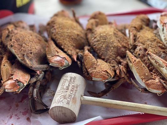 Delish Maryland crab