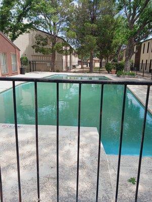 This was the pool "after" treatment for the Memorial Day Weekend