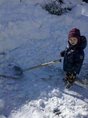 Professional Snow Removal