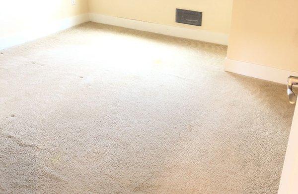 Carpet Cleaning